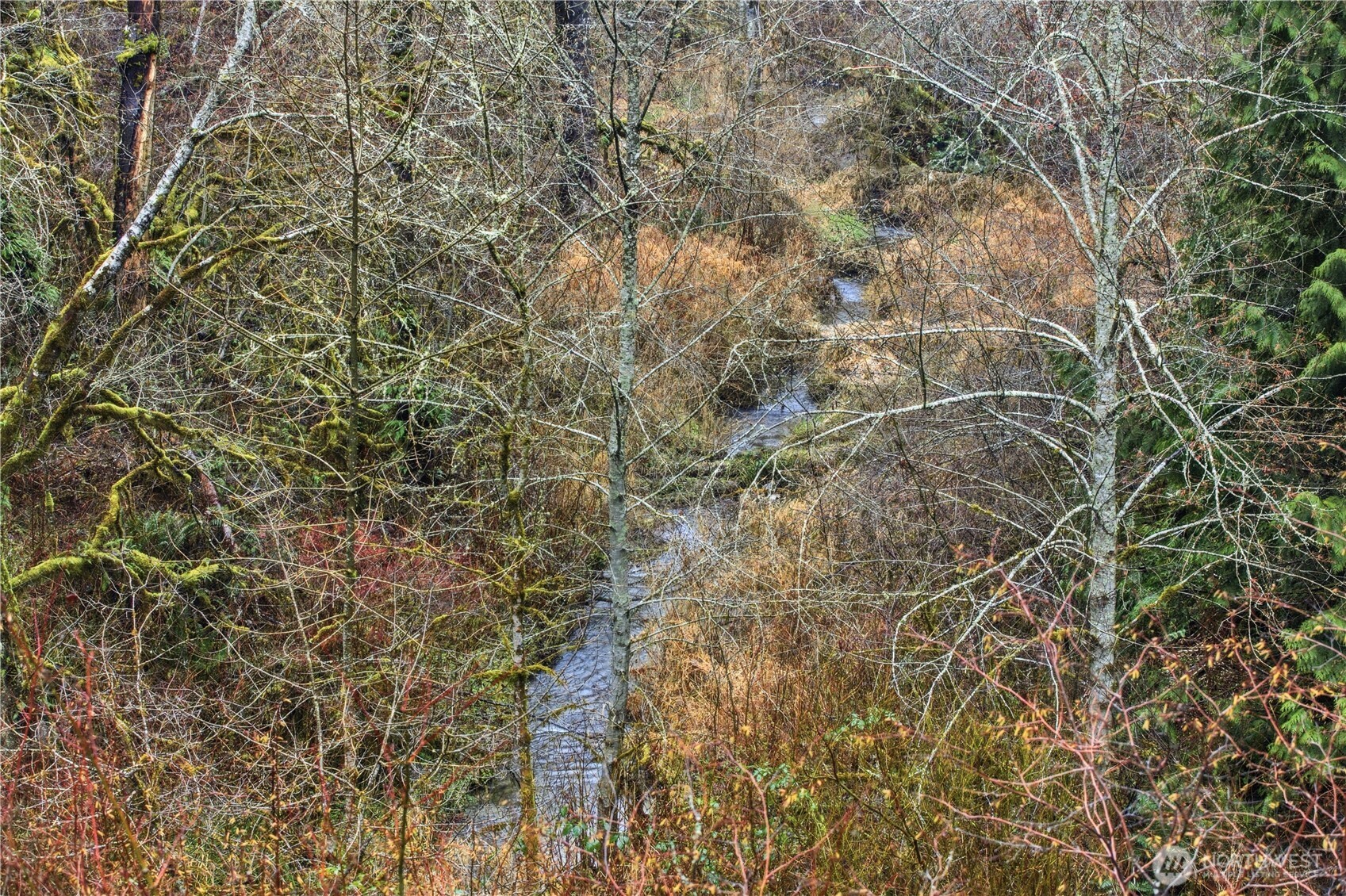 6117 Ames Lake Carnation Road NE, Carnation, WA 98014