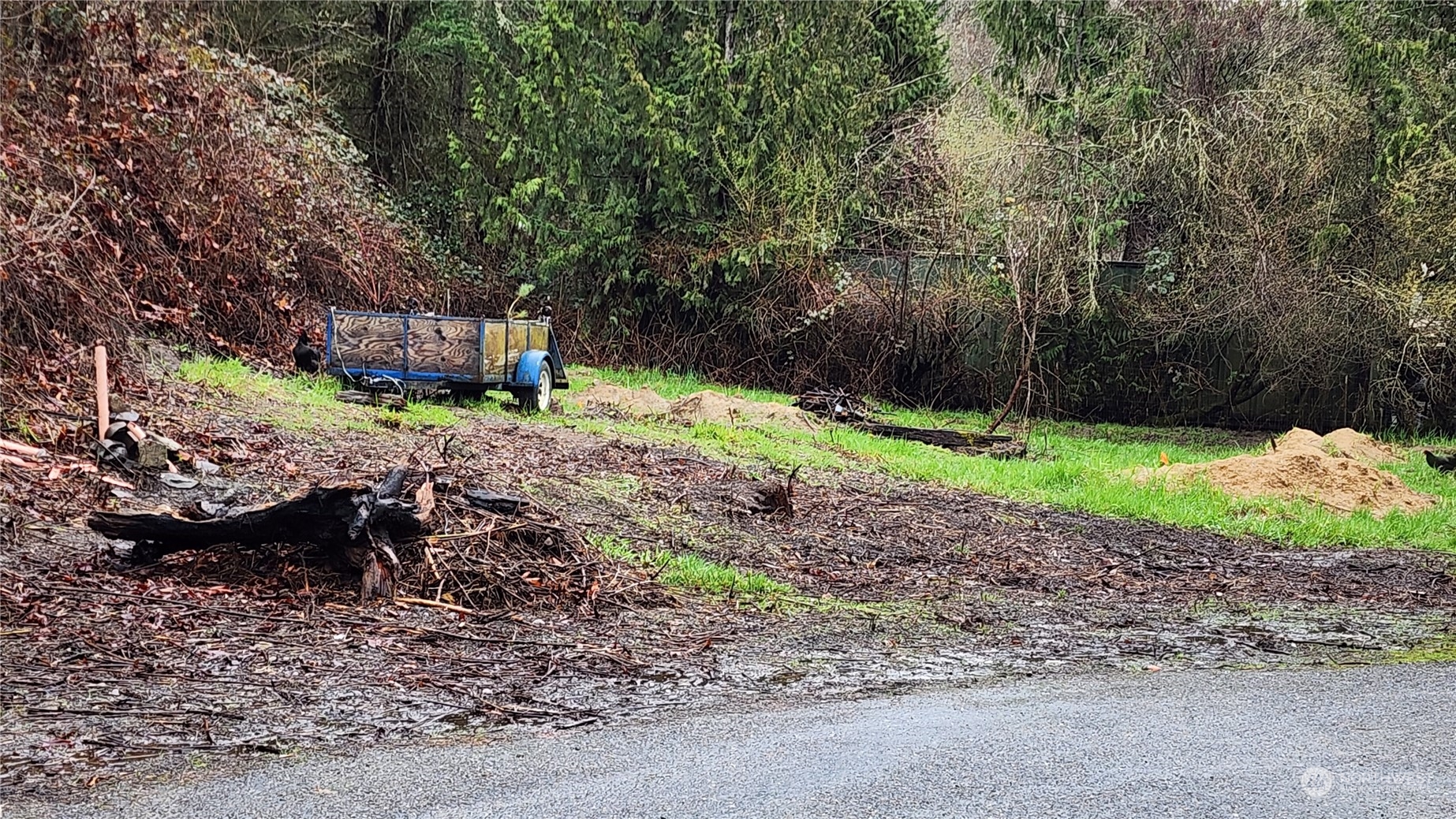 0 Olequa Court , Vader, WA 98593