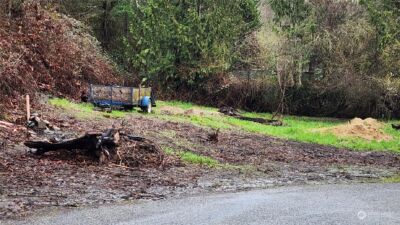 0 Olequa Court , Vader, WA 98593 - Photo 1