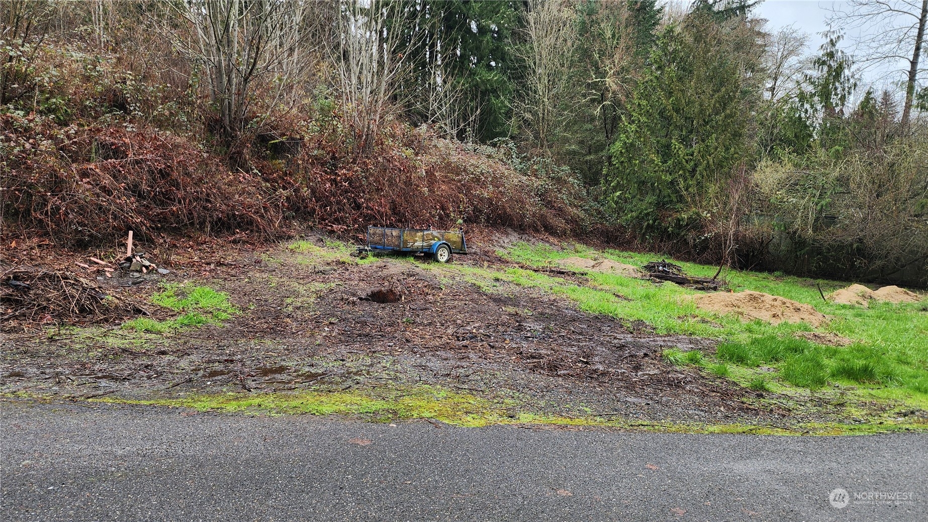 0 Olequa Court , Vader, WA 98593