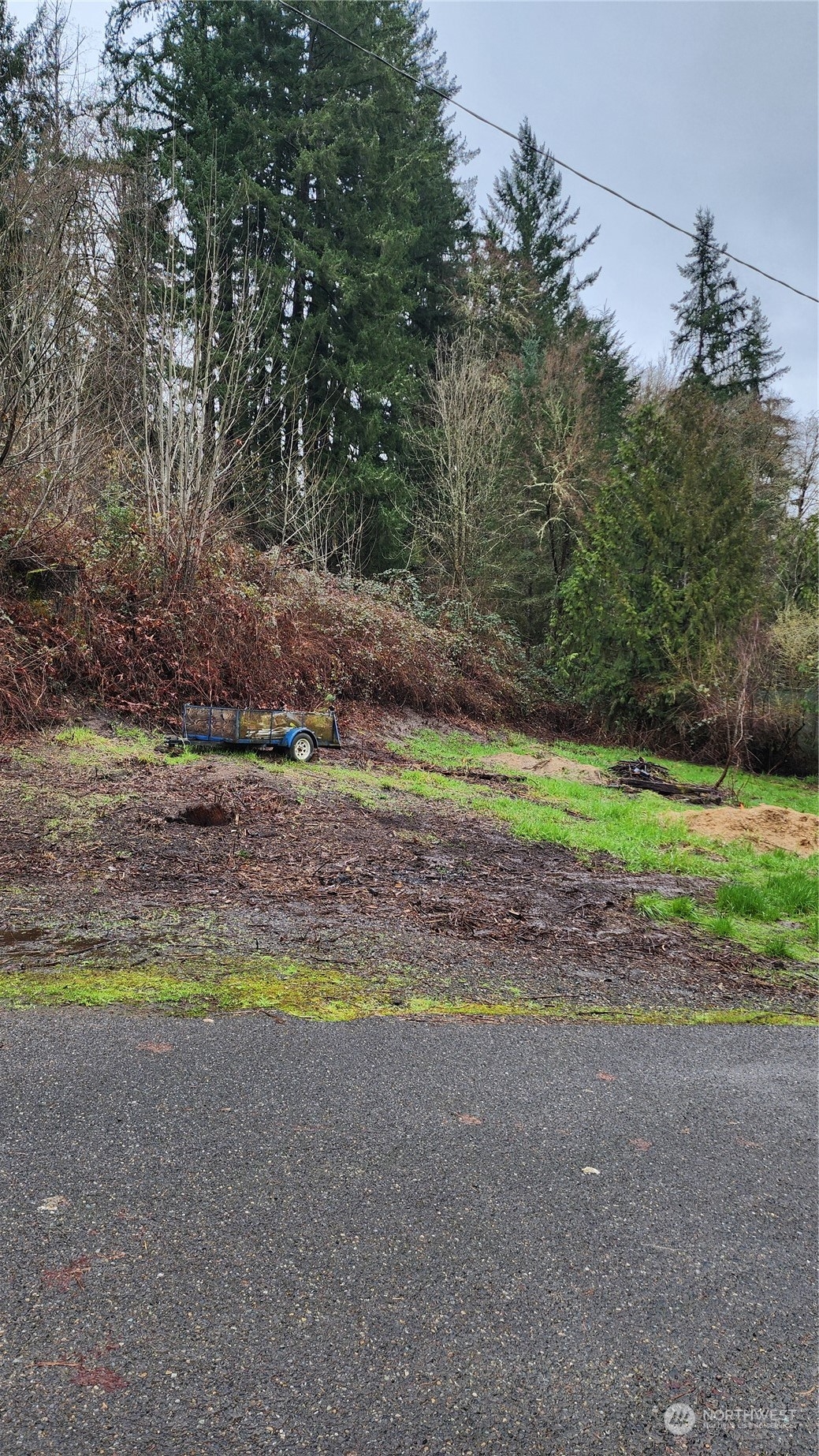 0 Olequa Court , Vader, WA 98593