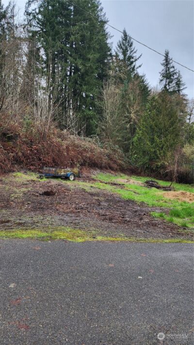 0 Olequa Court , Vader, WA 98593 - Photo 3