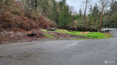 0 Olequa Court , Vader, WA 98593 - Photo 4