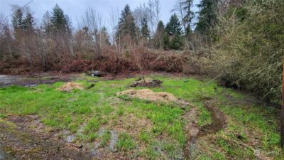 0 Olequa Court , Vader, WA 98593 - Photo 6