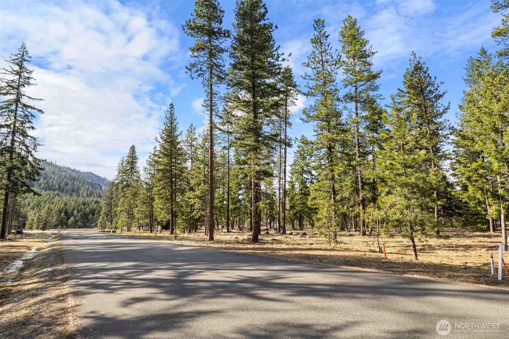 31 Domerie Park Loop , Cle Elum, WA 98922