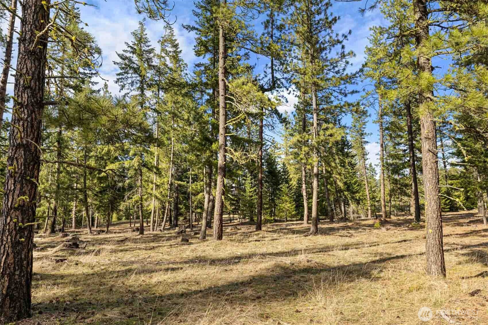 31 Domerie Park Loop , Cle Elum, WA 98922