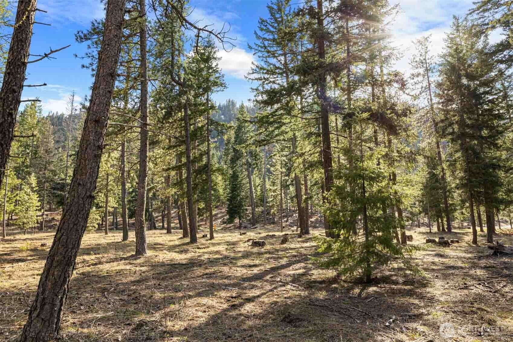 31 Domerie Park Loop , Cle Elum, WA 98922