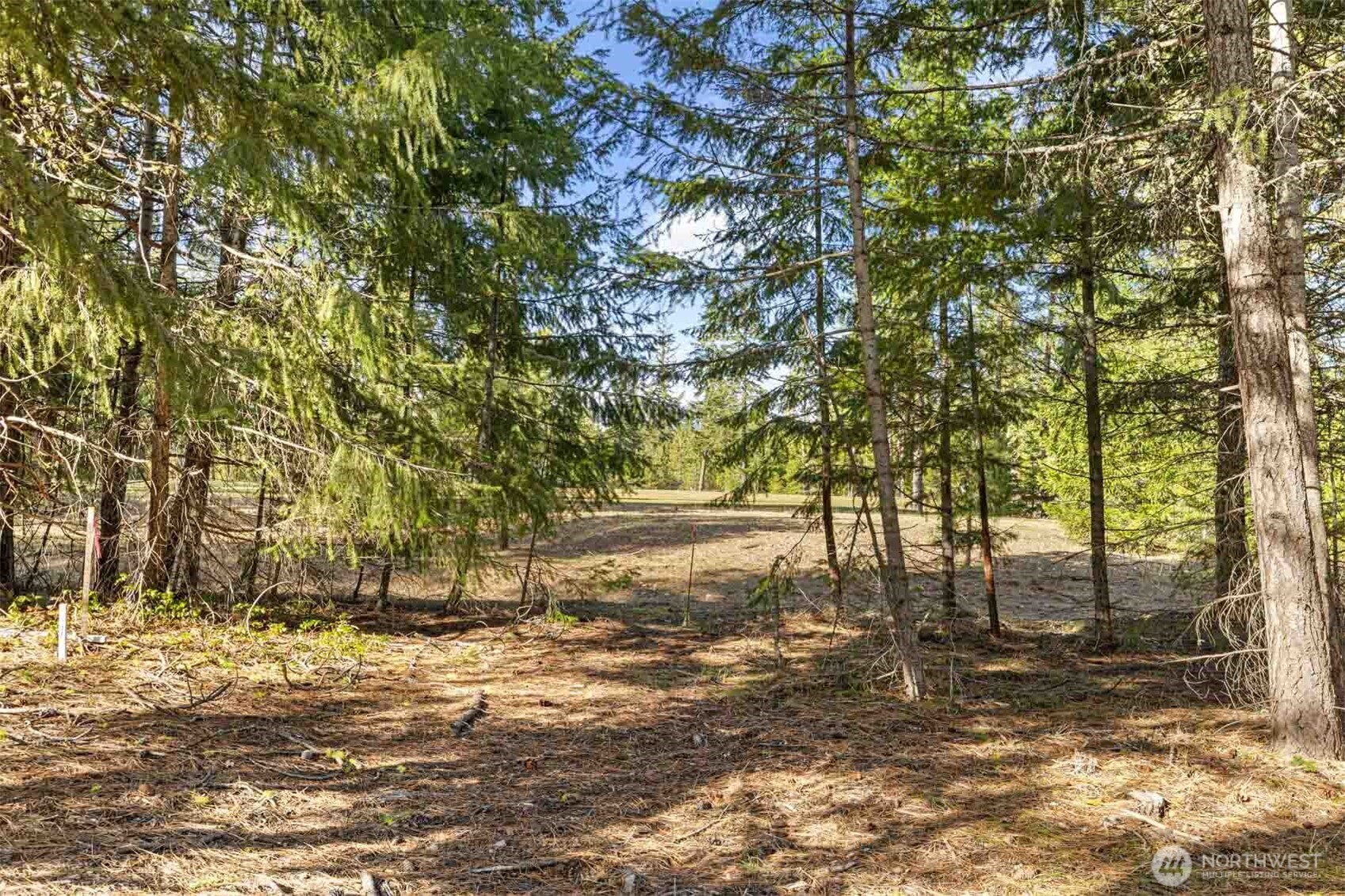 31 Domerie Park Loop , Cle Elum, WA 98922