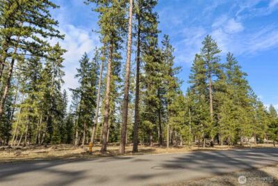31 Domerie Park Loop , Cle Elum, WA 98922 - Photo 10