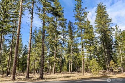 31 Domerie Park Loop , Cle Elum, WA 98922 - Photo 11