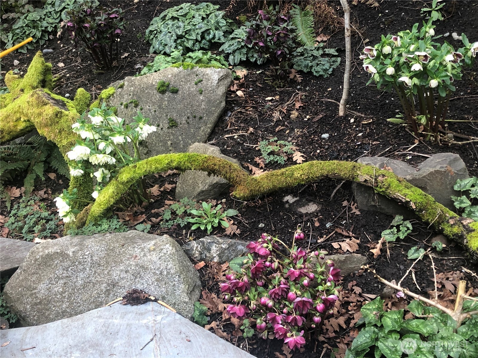 3007 S Court Street , Seattle, WA 98144