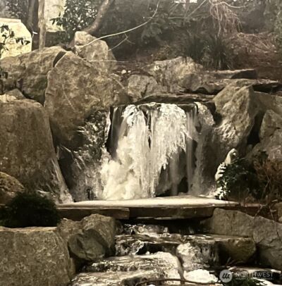 3007 S Court Street , Seattle, WA 98144 - Photo 31