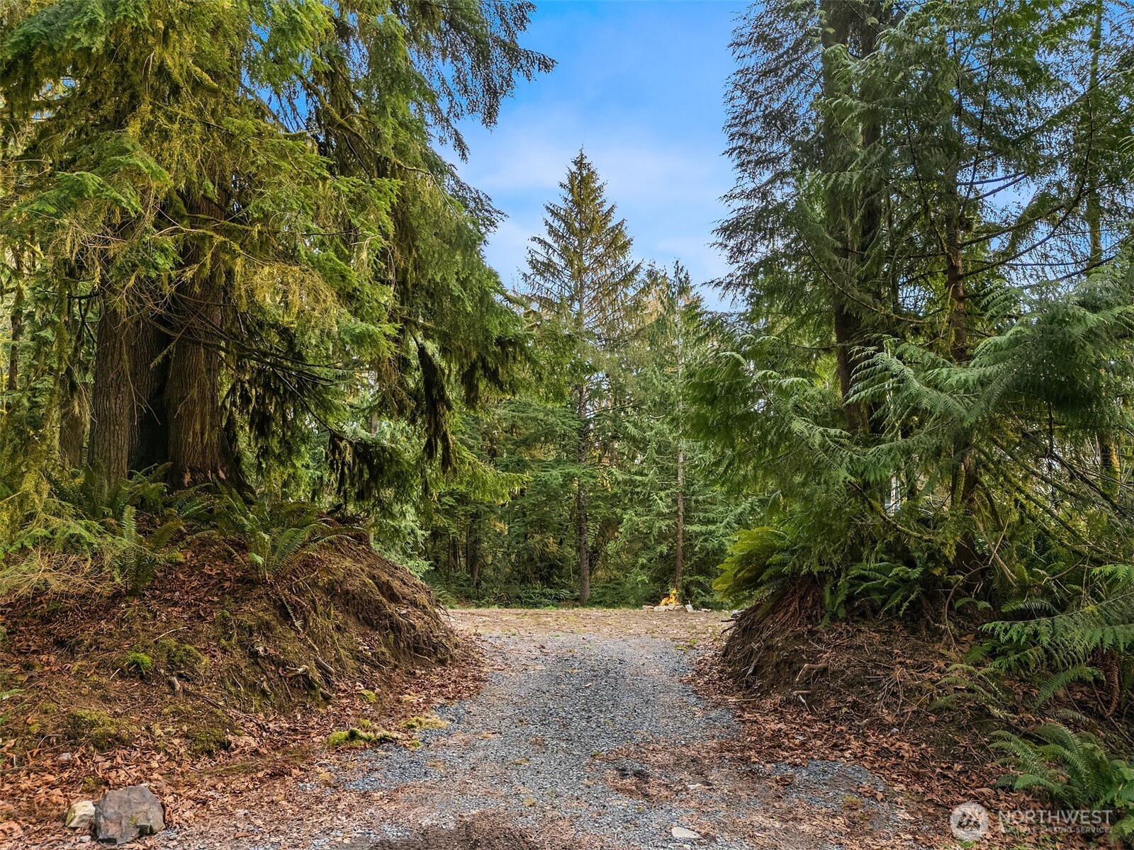 16423 148th Street NE, Arlington, WA 98223