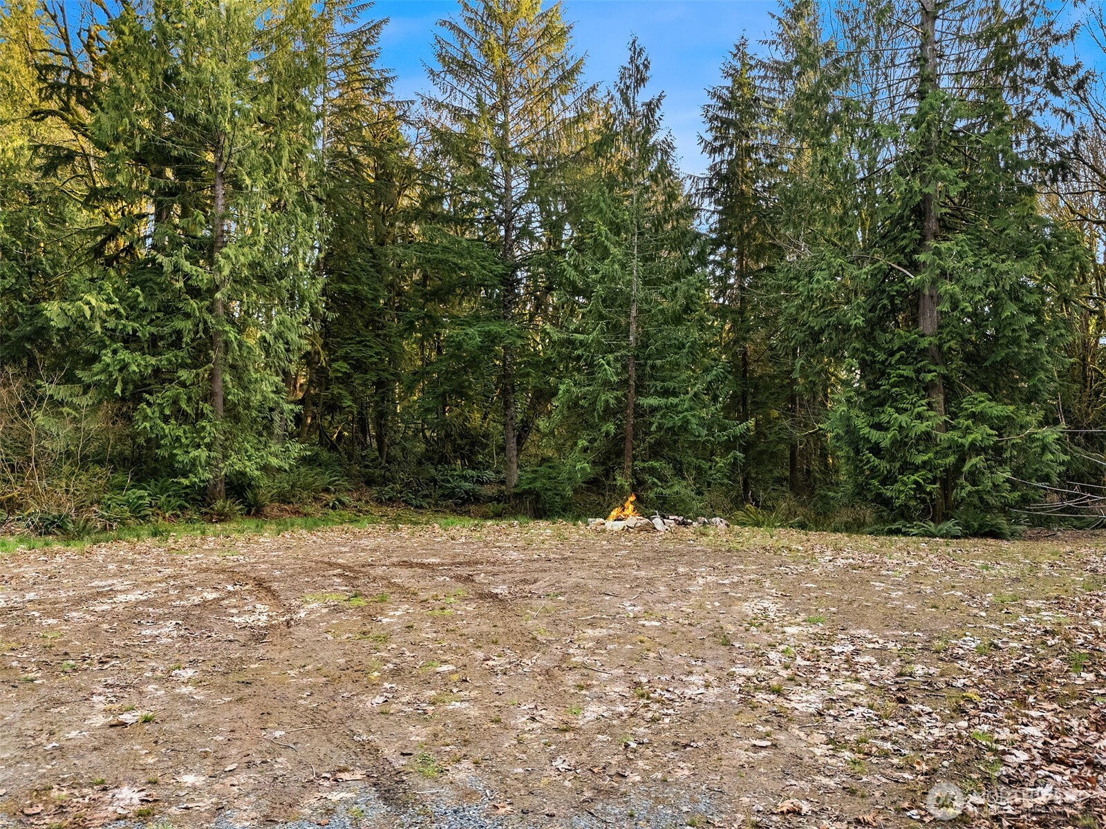 16423 148th Street NE, Arlington, WA 98223