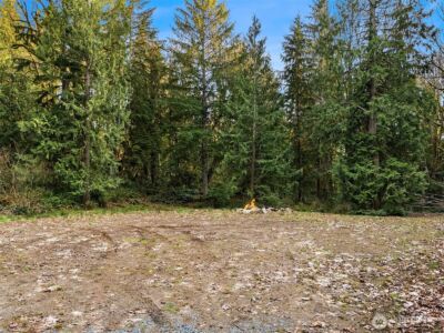 16423 148th Street NE, Arlington, WA 98223 - Photo 2