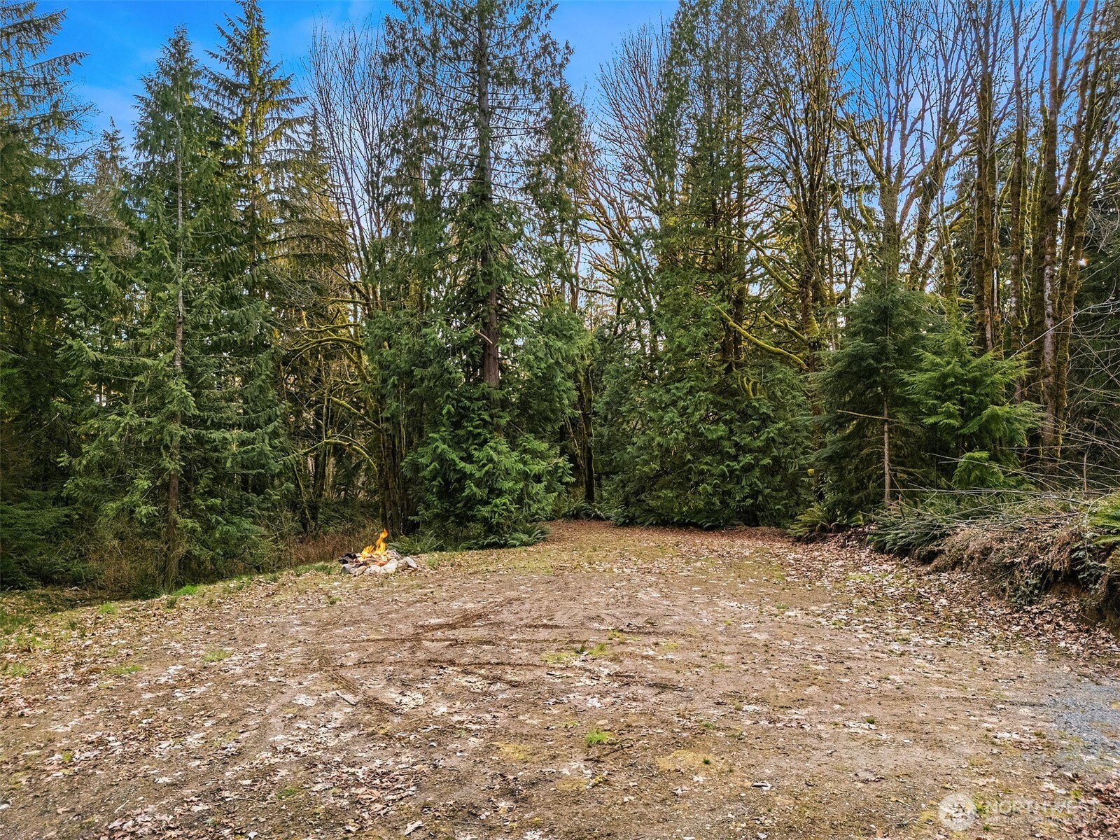 16423 148th Street NE, Arlington, WA 98223