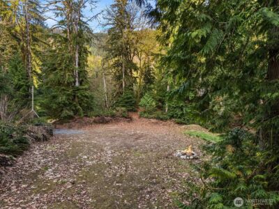 16423 148th Street NE, Arlington, WA 98223 - Photo 4