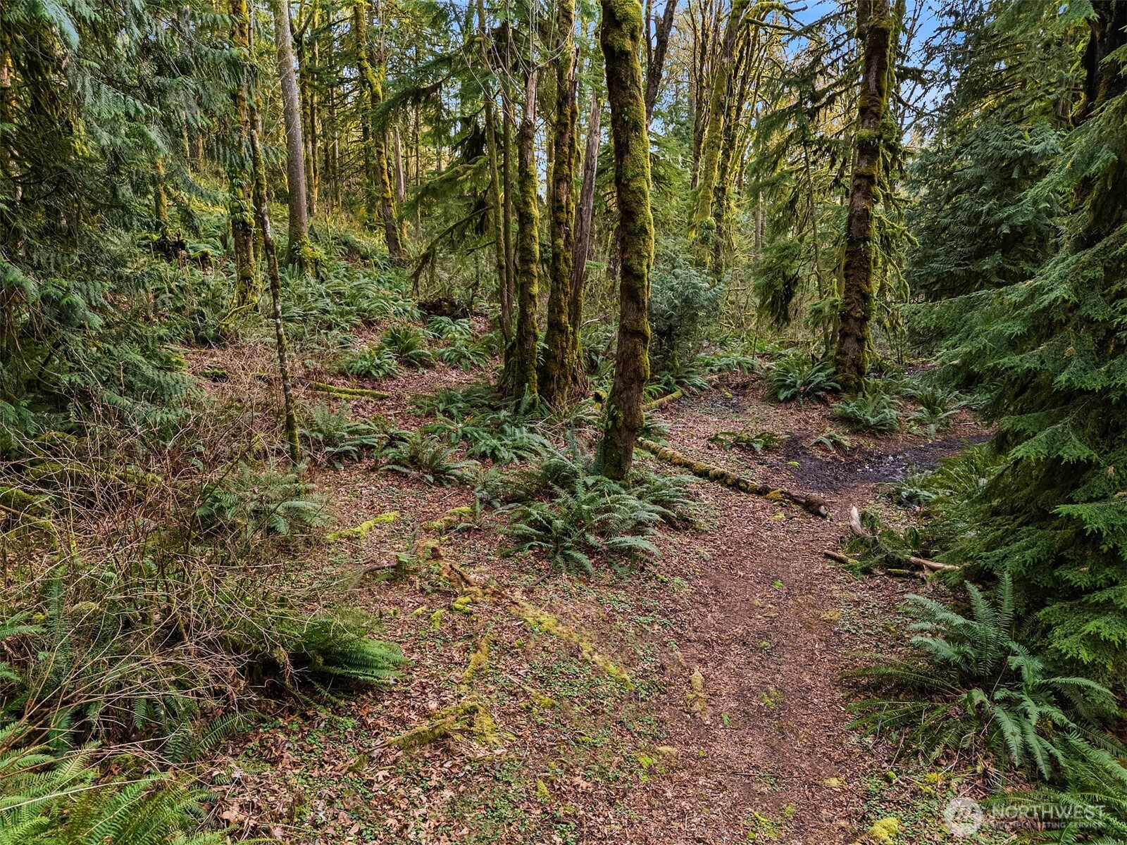 16423 148th Street NE, Arlington, WA 98223