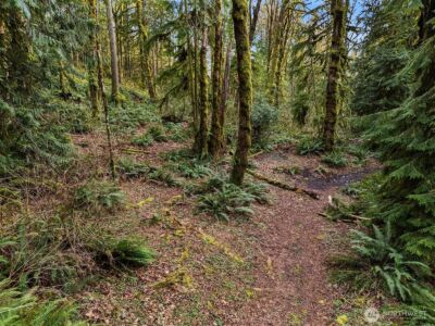 16423 148th Street NE, Arlington, WA 98223 - Photo 6
