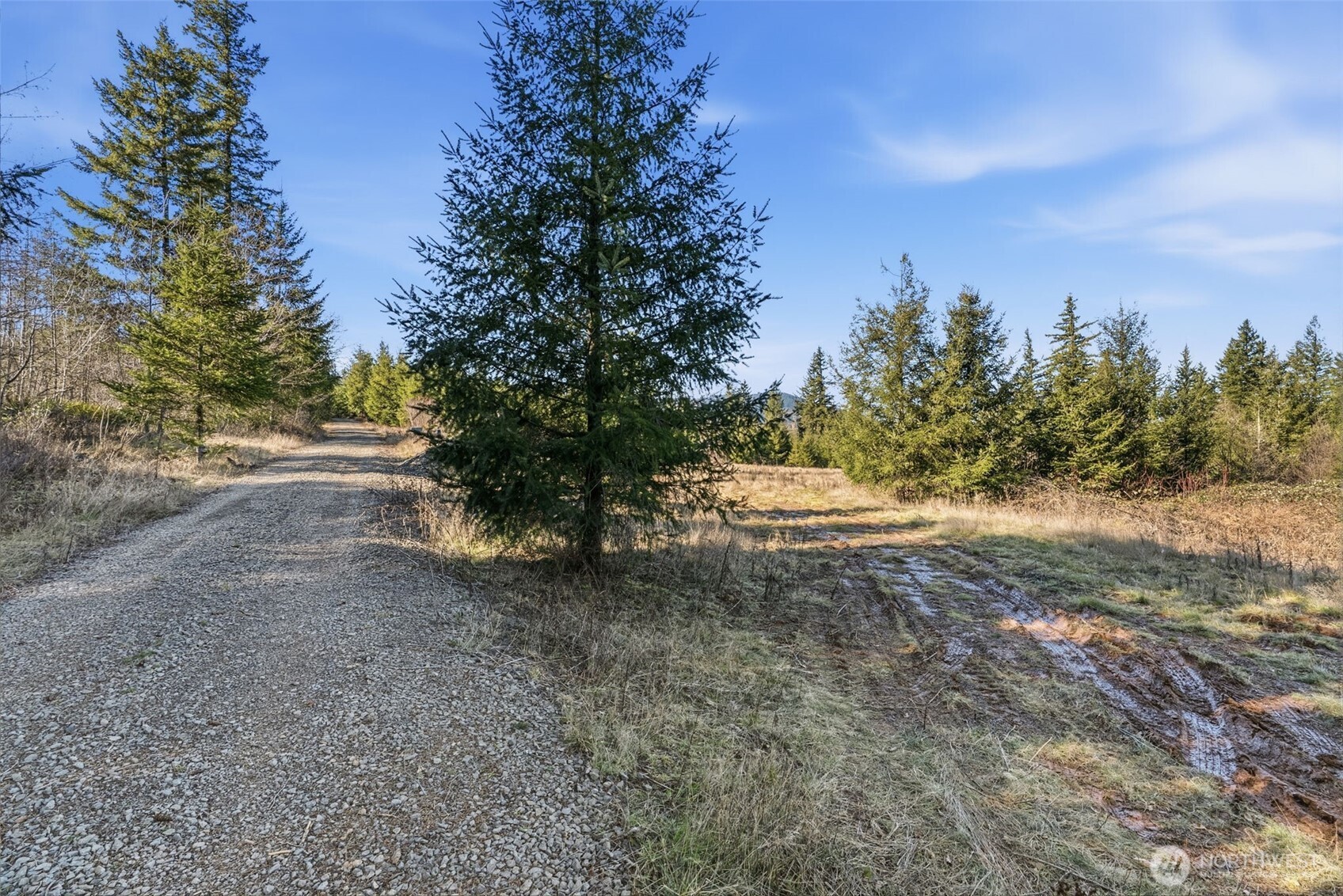 22310 NE Dole Valley Road , Yacolt, WA 98675