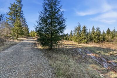 22310 NE Dole Valley Road , Yacolt, WA 98675 - Photo 2