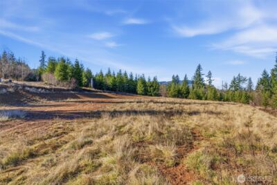 22310 NE Dole Valley Road , Yacolt, WA 98675 - Photo 4