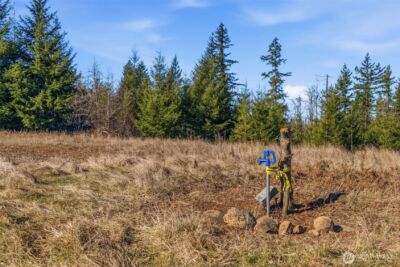 22310 NE Dole Valley Road , Yacolt, WA 98675 - Photo 6