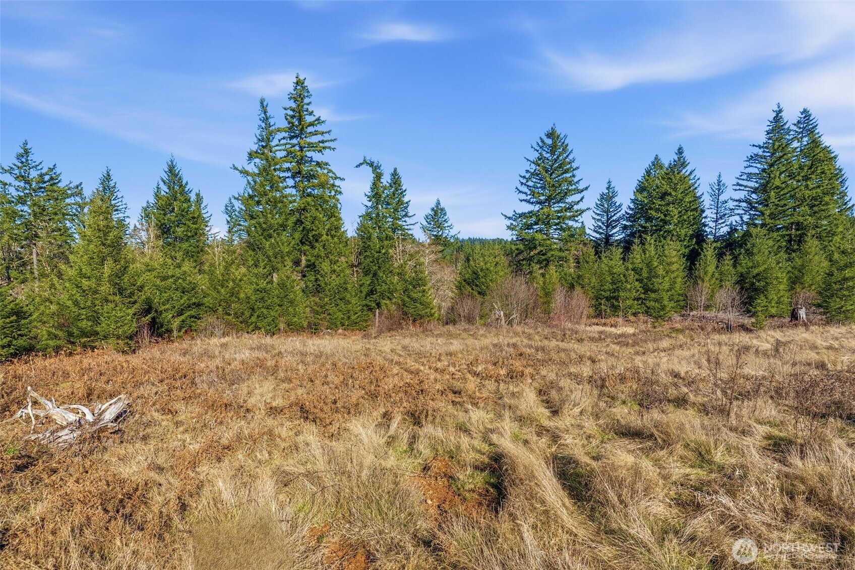 22310 NE Dole Valley Road , Yacolt, WA 98675