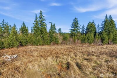 22310 NE Dole Valley Road , Yacolt, WA 98675 - Photo 8