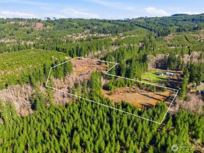 22310 NE Dole Valley Road , Yacolt, WA 98675 - Photo 9