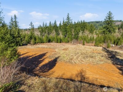 22310 NE Dole Valley Road , Yacolt, WA 98675 - Photo 10