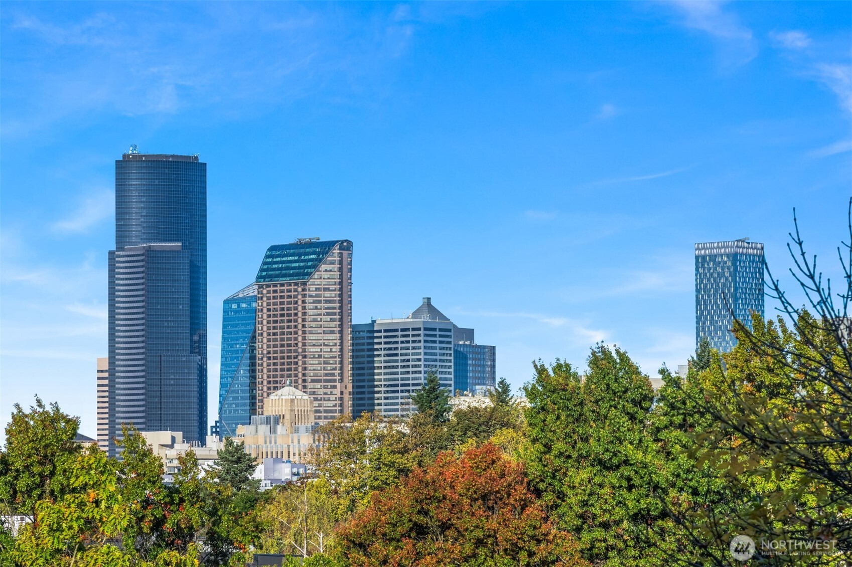 303 23rd Avenue S #310, Seattle, WA 98144