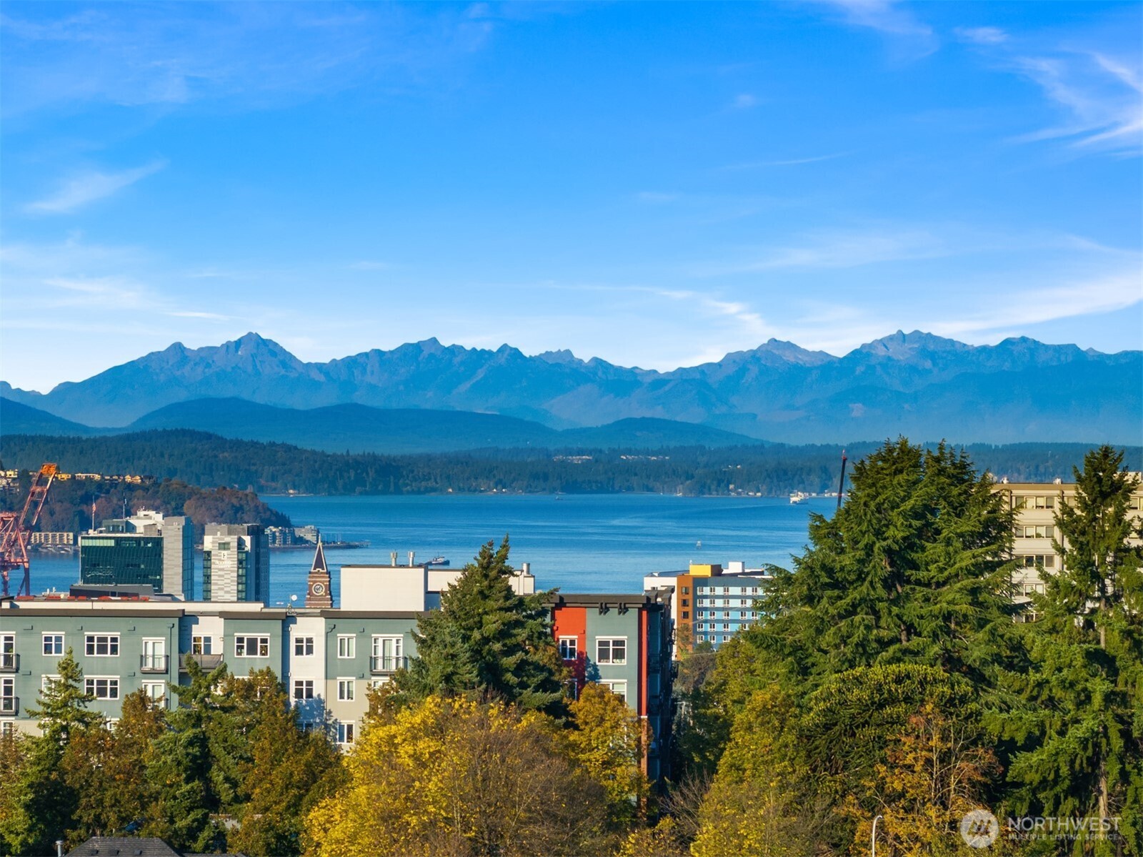 303 23rd Avenue S #310, Seattle, WA 98144