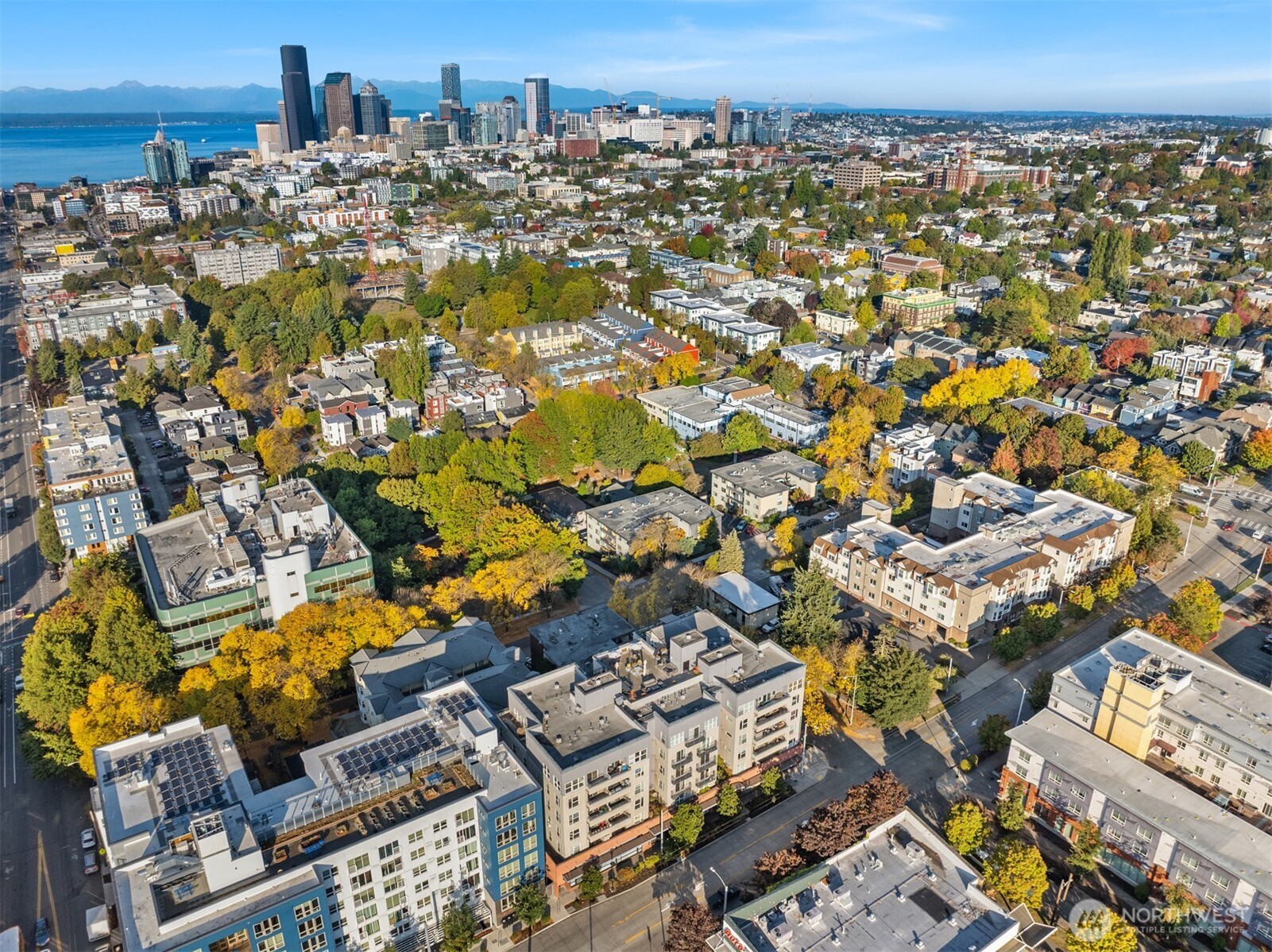 303 23rd Avenue S #310, Seattle, WA 98144