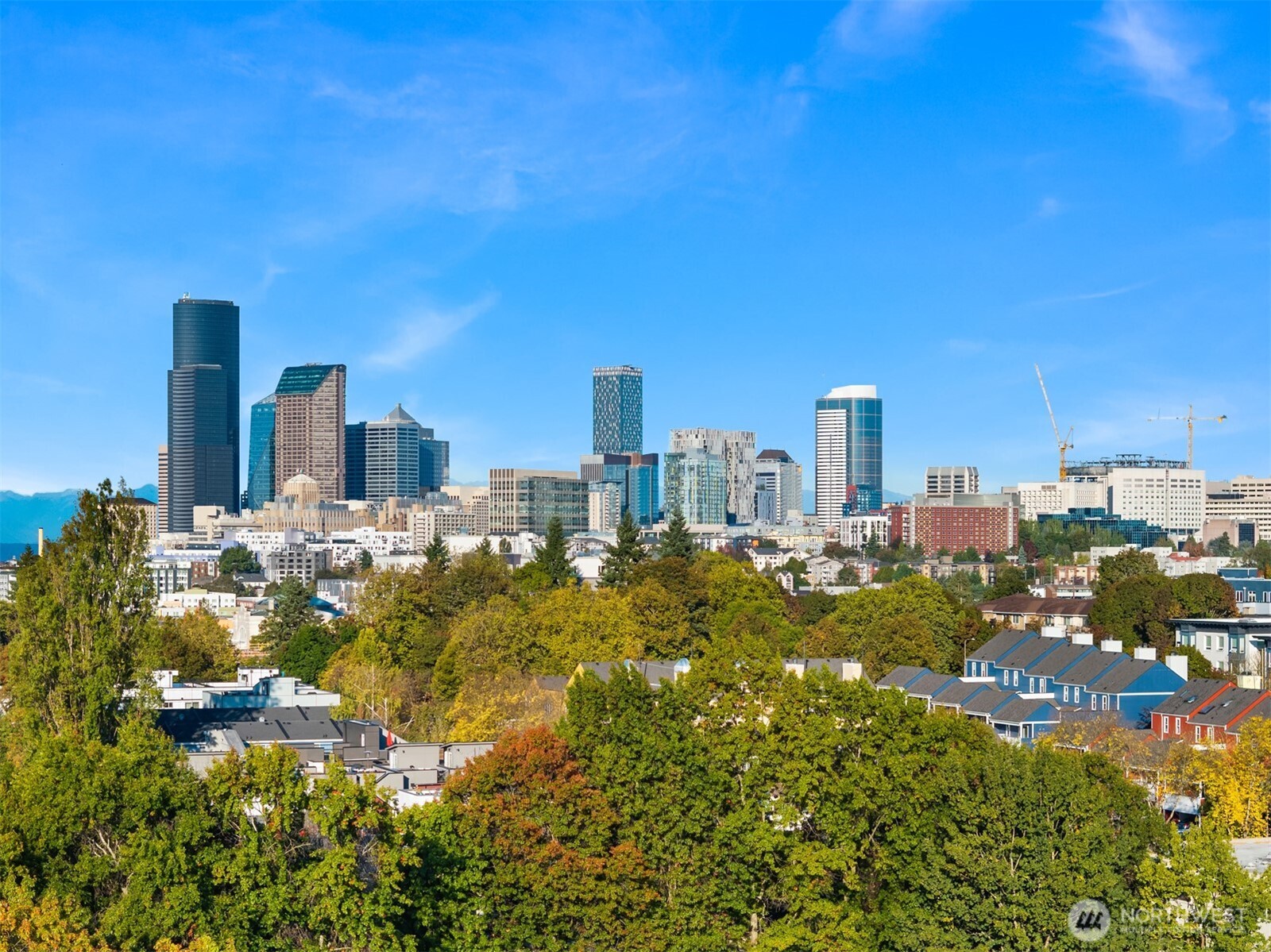 303 23rd Avenue S #310, Seattle, WA 98144