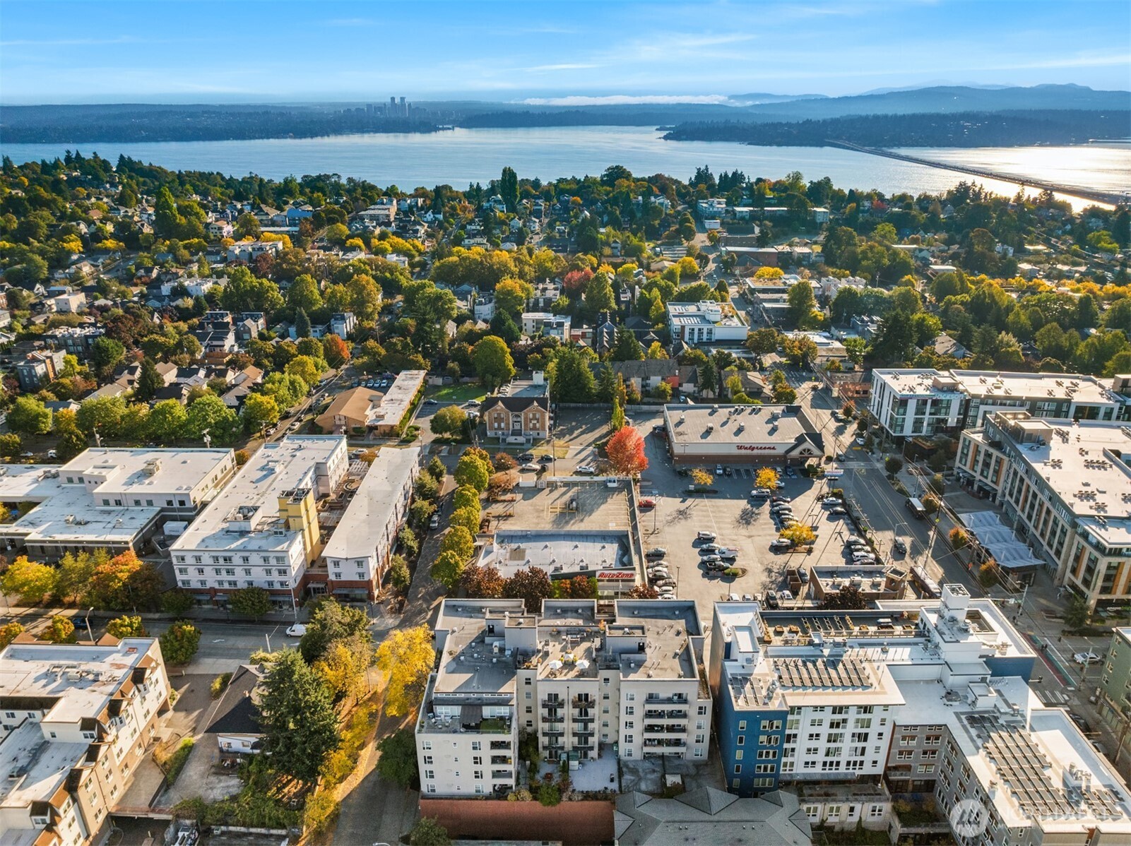 303 23rd Avenue S #310, Seattle, WA 98144