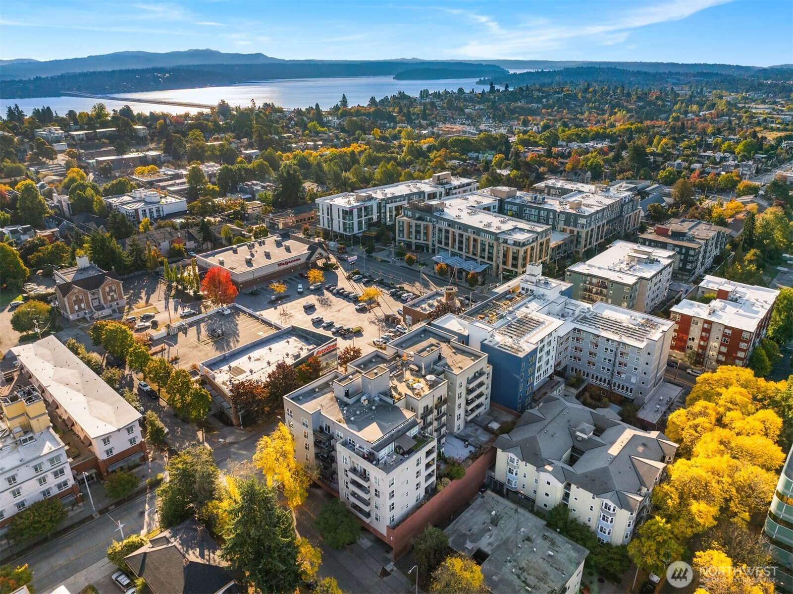 303 23rd Avenue S #310, Seattle, WA 98144