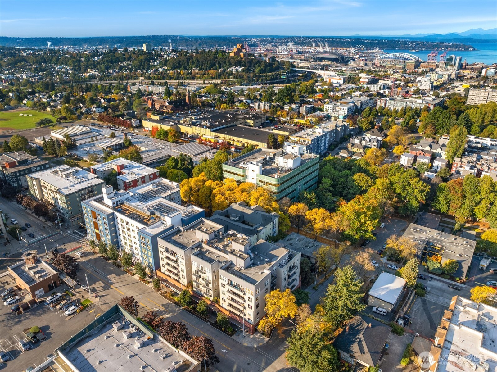 303 23rd Avenue S #310, Seattle, WA 98144