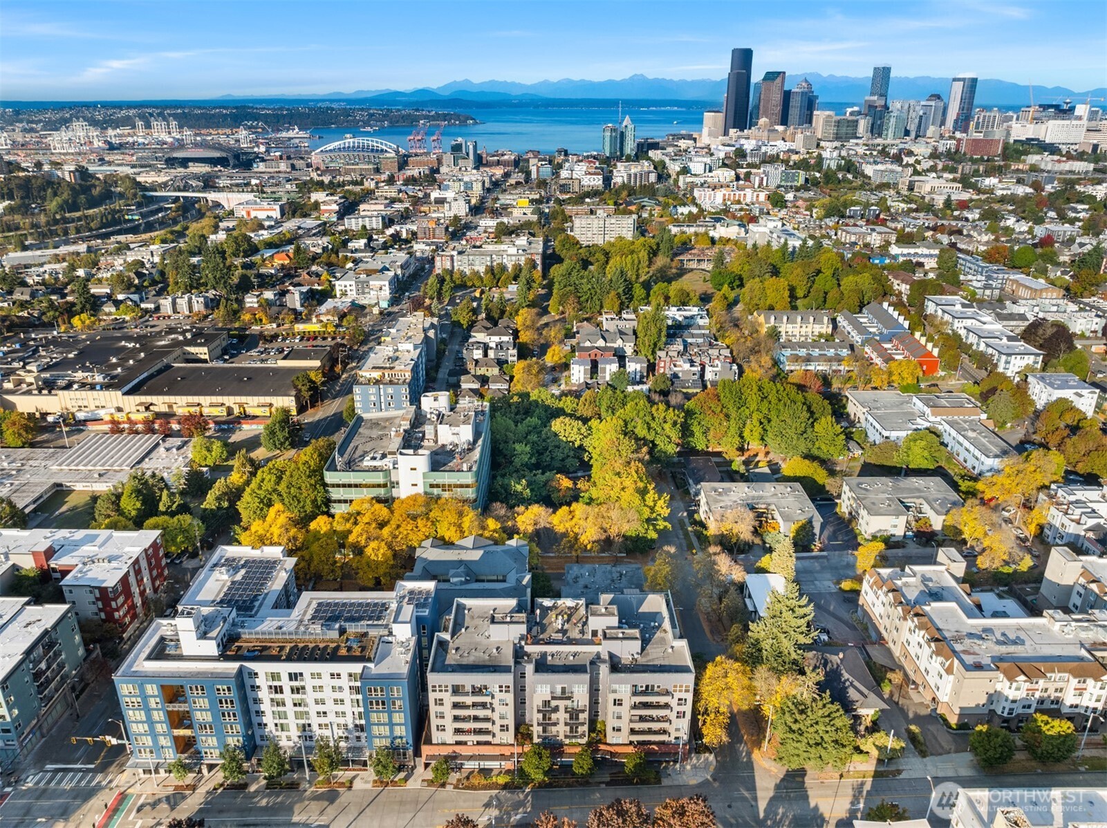 303 23rd Avenue S #310, Seattle, WA 98144