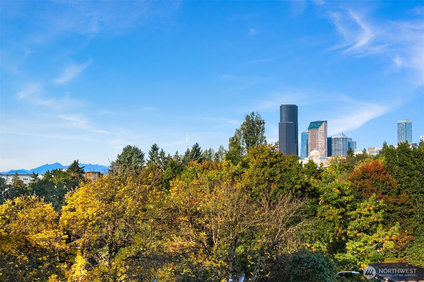 303 23rd Avenue S #310, Seattle, WA 98144