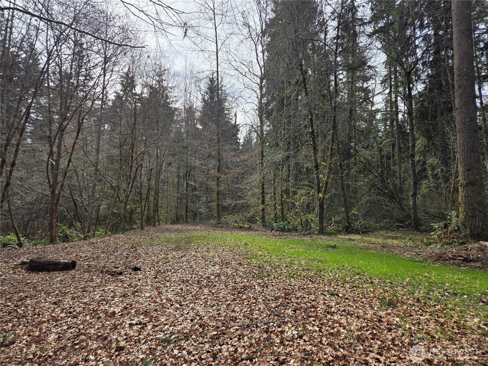 197 xx 242nd Avenue NE, Woodinville, WA 98077