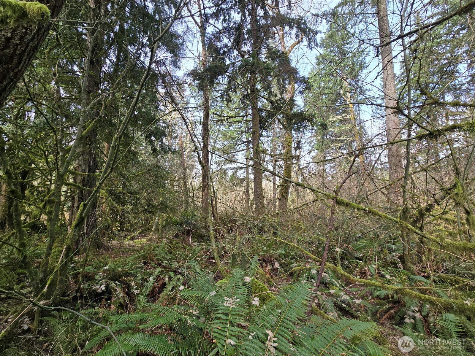 197 xx 242nd Avenue NE, Woodinville, WA 98077