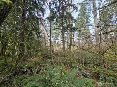 197 xx 242nd Avenue NE, Woodinville, WA 98077 - Photo 11