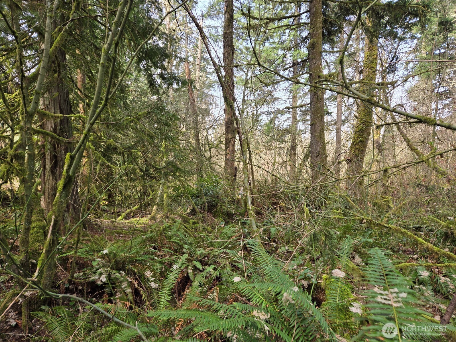 197 xx 242nd Avenue NE, Woodinville, WA 98077