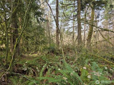 197 xx 242nd Avenue NE, Woodinville, WA 98077 - Photo 12