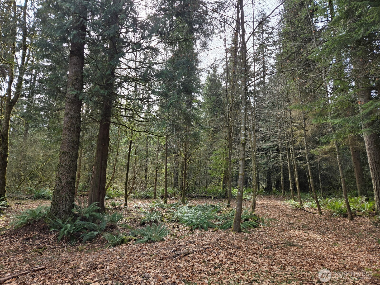 197 xx 242nd Avenue NE, Woodinville, WA 98077