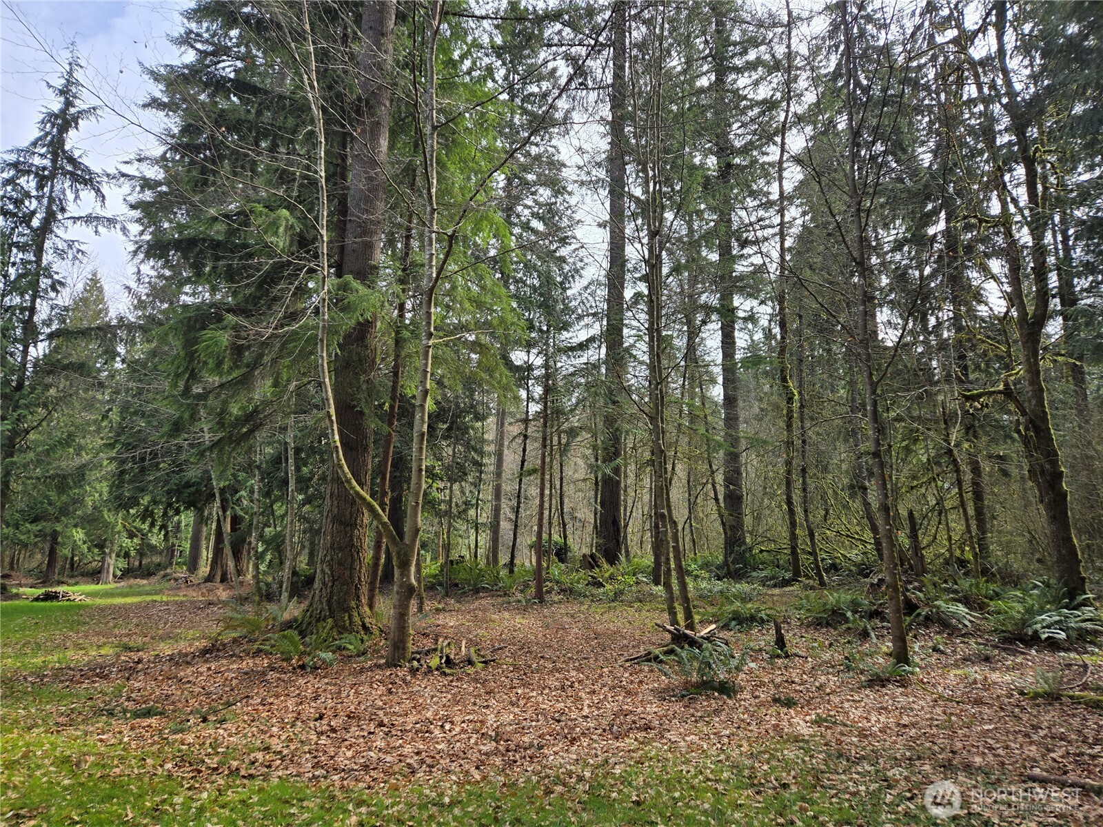 197 xx 242nd Avenue NE, Woodinville, WA 98077