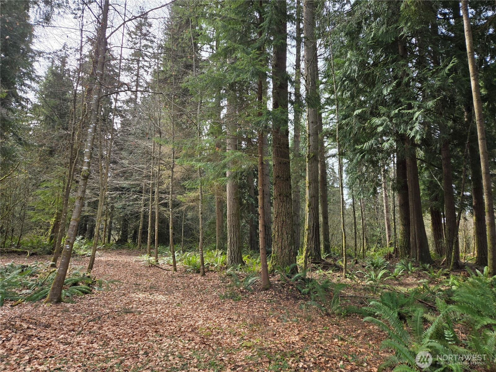 197 xx 242nd Avenue NE, Woodinville, WA 98077