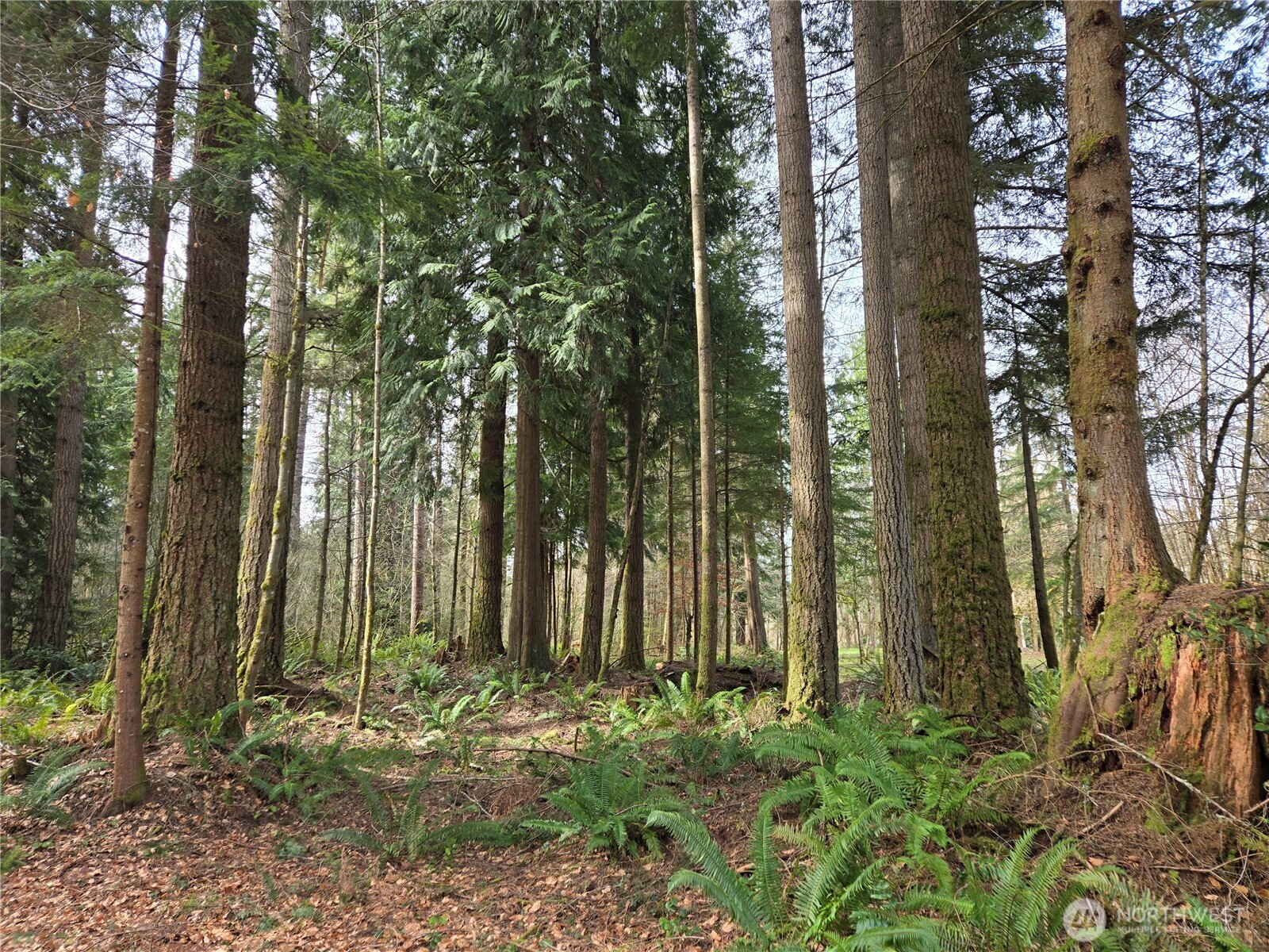 197 xx 242nd Avenue NE, Woodinville, WA 98077