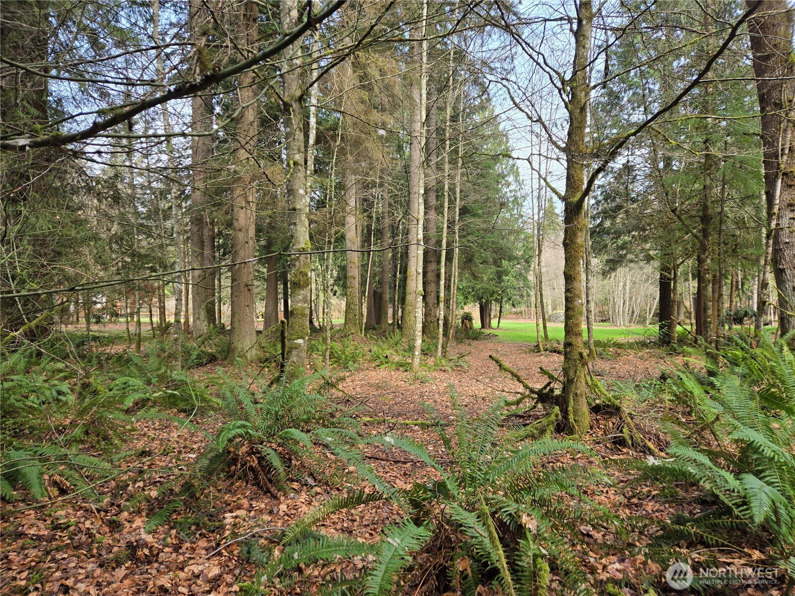 197 xx 242nd Avenue NE, Woodinville, WA 98077